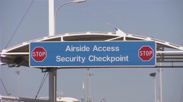 Trainee bomb detector puppy shot dead at New Zealand airport