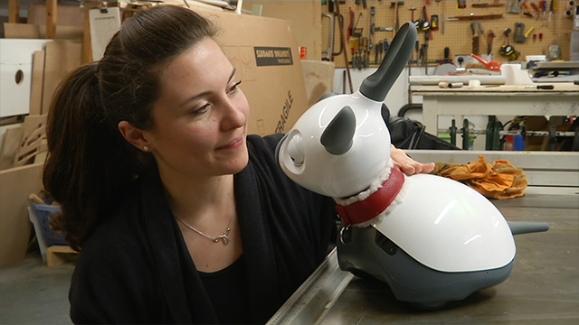 robotic cat for elderly