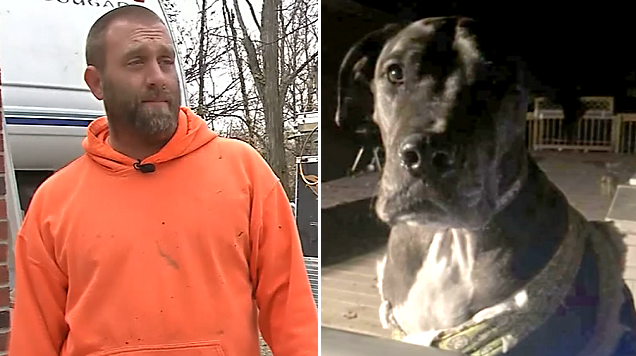 Homeowner holds off robbery suspect with gun and 150-pound dog named Tank