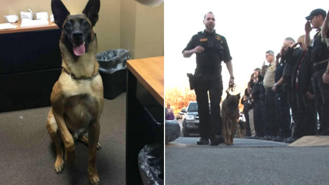 (Source: Lonoke County Sheriff's Office, KTHV via AP)