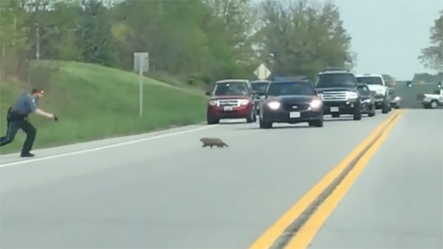 (Justyna Olowska via WBAL/CNN)