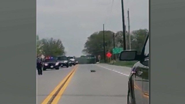 Deputy shoots groundhog as it crosses road