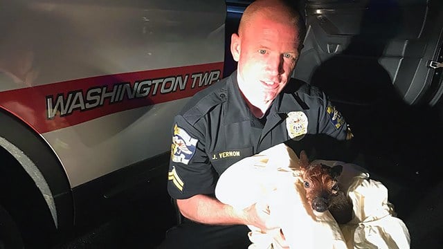 Officer hailed a hero after performing C-section to save fawn’s life