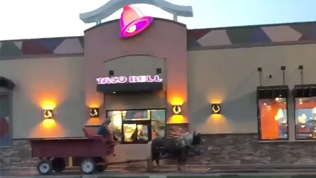 Viral video: Taco bell serves man on a horse-drawn cart