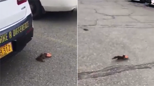 (Anchorage Police Department)